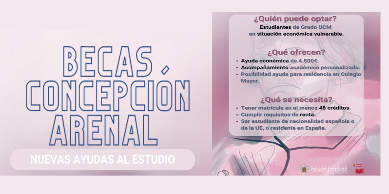 Becas Concepción Arenal. Acceso al programa